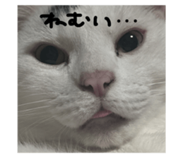 793307278