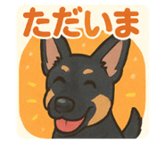 793311665