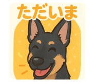 793311666