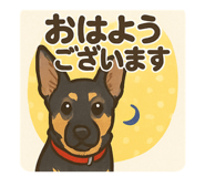 793311667