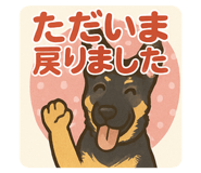 793311671