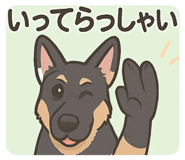 793311687