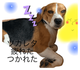 793313229