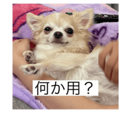 793325720