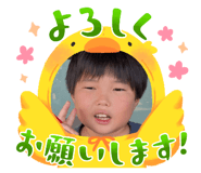 793333556