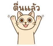 793336380