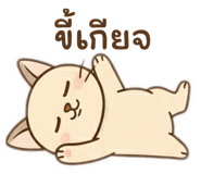 793336386
