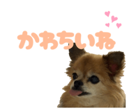 793349198