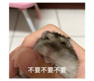 793351629