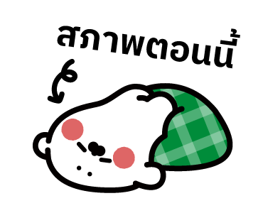 ลายที่ 23