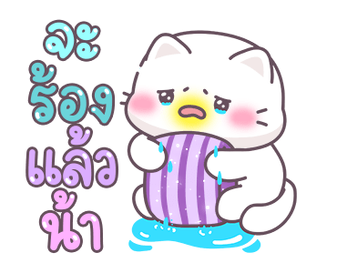 ลายที่ 9