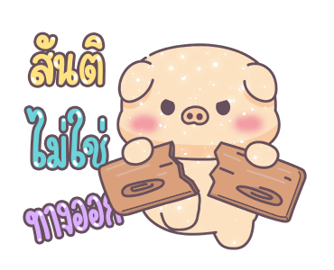 ลายที่ 13