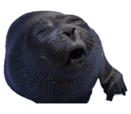 793363260
