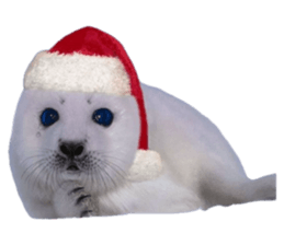 793363268