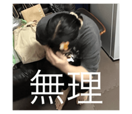 793364637