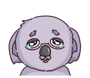793369804