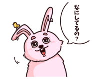 793369807