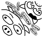 793371859