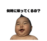 793376684