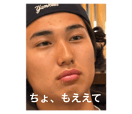 793380513