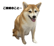 793387549