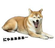 793387551