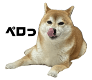 793387552