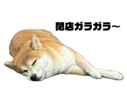 793387556