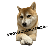 793387558