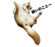793387560