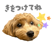 793388102