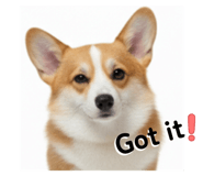 793390809