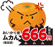 793400846