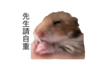 793405987
