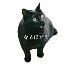 793406449