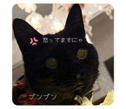 793408793