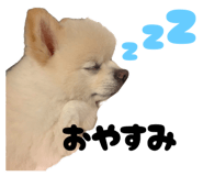 793424842