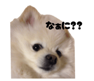 793424844