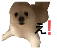 793424845