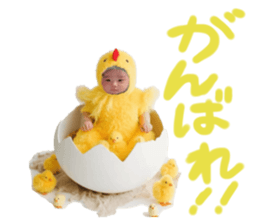 793428036