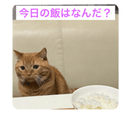 793428242