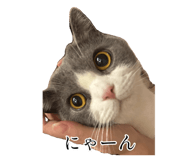 793434209