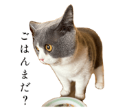 793434210