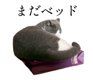 793434212