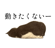 793434215