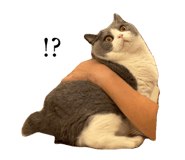 793434217