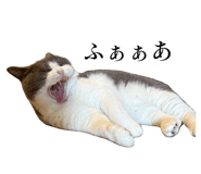 793434219