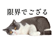 793434220