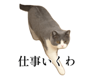 793434222