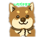 793455748